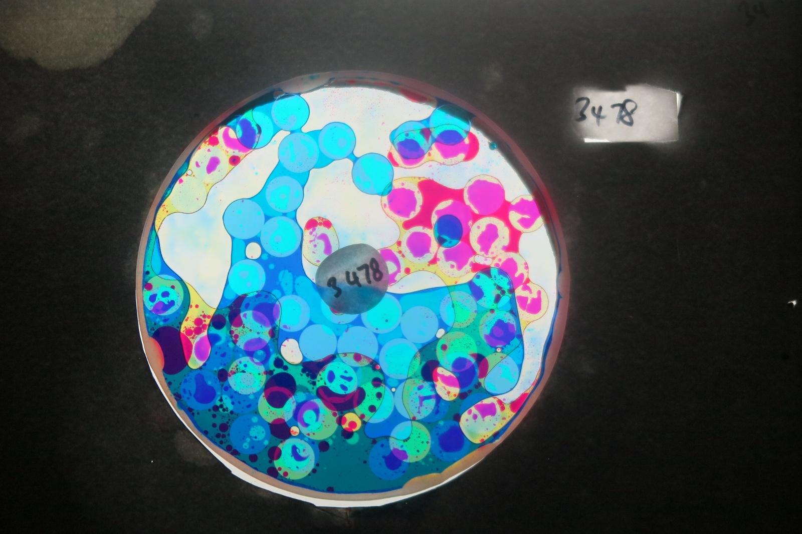 BV3478 bubble vision oil wheel